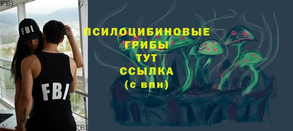 ПСИЛОЦИБИНОВЫЕ ГРИБЫ Баксан