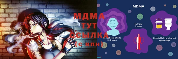 МДПВ Богородск