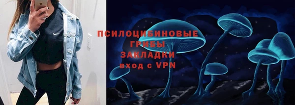 МДПВ Богородск