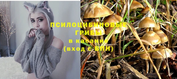 бутират Балабаново