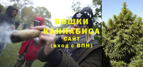 ПСИЛОЦИБИНОВЫЕ ГРИБЫ Баксан